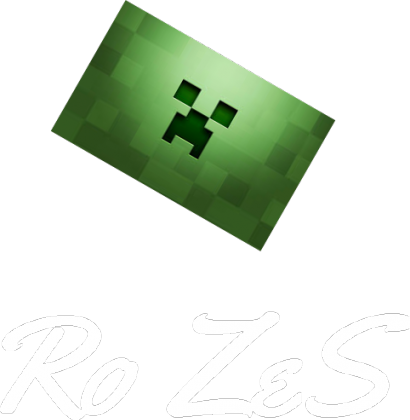 Koszulka Minecraft Ro ZeS