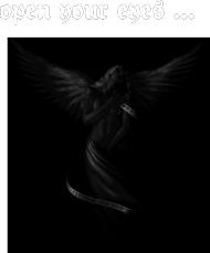 Koszulka "Angel"
