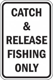 catch and release 2