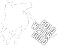 Polo Classic Polo W Back