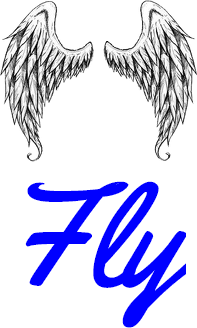 Fly