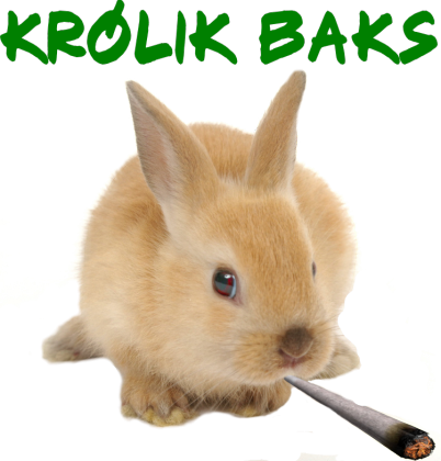 Królik baks