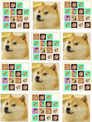 Doge Party