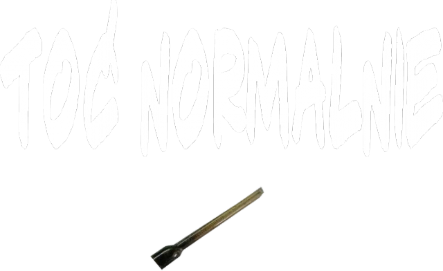 Koszulka Toć Normalnie 2