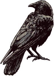 BlackBird - Bluza