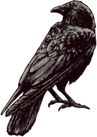 BlackBird - Bluza