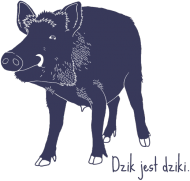 Dzik jest dziki