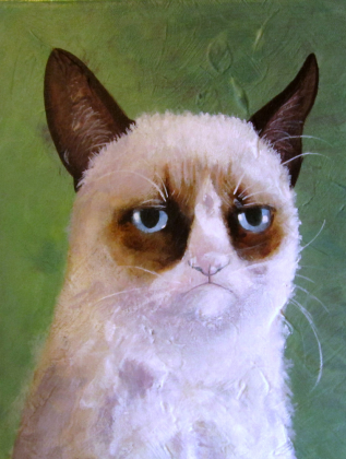 grumpy cat bluza