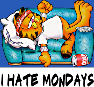 Bluza Garfield - I Hate Mondays