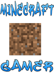 Minecraft Gamer