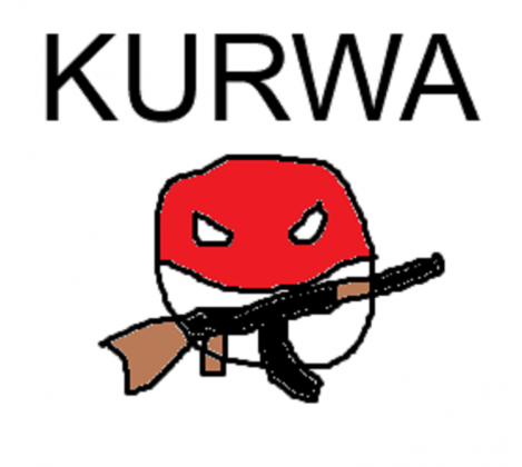 Patryjota Kurwa T shirt /White (M)