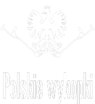Koszulka 2 "Polskie wykopki"