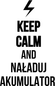 labego.pl t-shirt akumulator