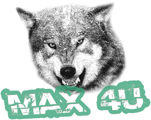 Max 4U t-short