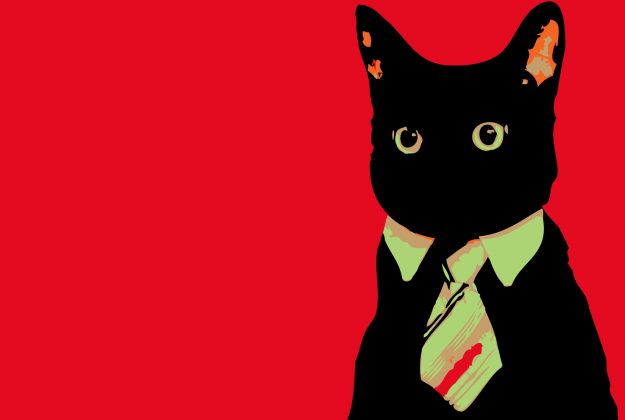Plakat "Kot"