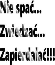 Koszulka Nie Spać...Zwiedzać...Zap**ać!!!