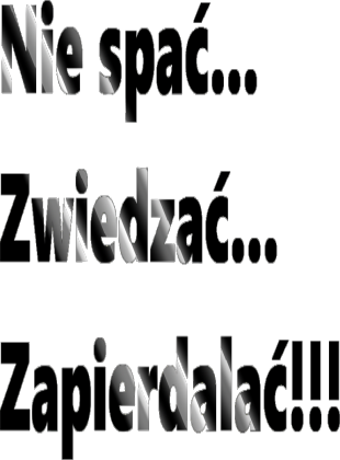 Koszulka Nie Spać...Zwiedzać...Zap**ać!!!
