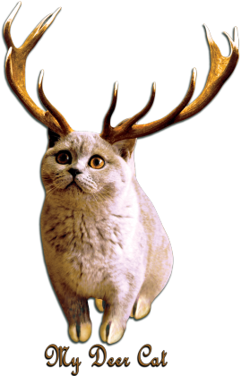 Deer Cat [onlyone]