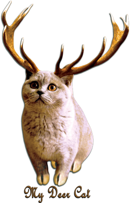 Deer Cat [onlyone]