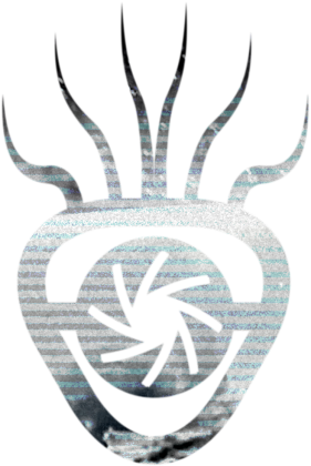 męskie macki krótkie