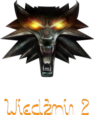 Koszulka z logiem W2