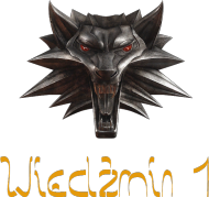 Koszulka z logiem W1