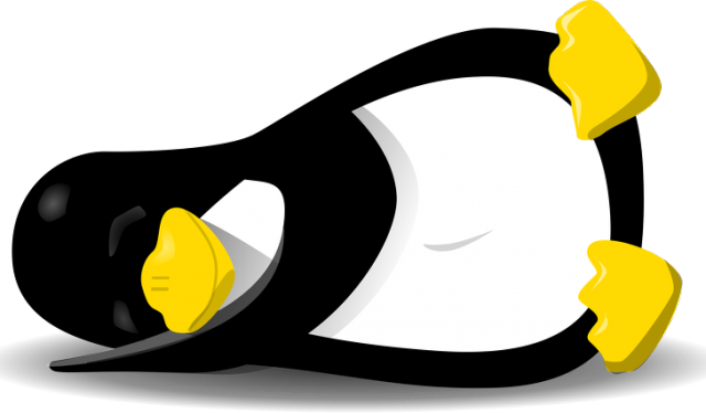 Koszulka Linux - śpiący Tux