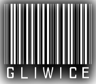 gliwice