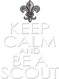 Keep calm and be a scout6