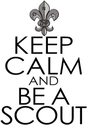 Keep calm and be a scout14