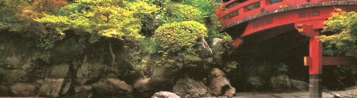 Koszulki na każdą kieszeń