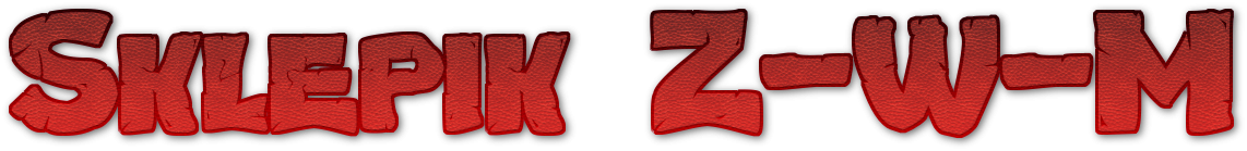 Team.ZWM