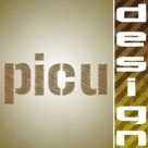 picudesign