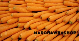 marchawkashop