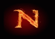 norek