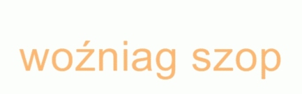 wozniagszop