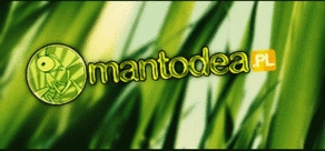 mantodea