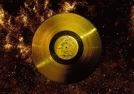 TheZiom615