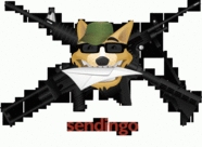 sendingo
