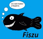 fiszu