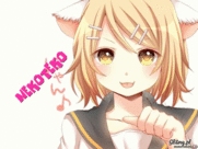 nekoteko