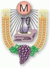 LSO