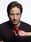 CALIFORNICATION