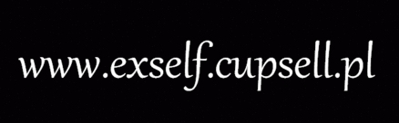 Exself