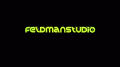 feldmanstudio