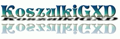 KoszulkiGXD