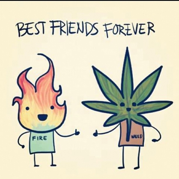 Weed And Friends
