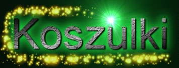 koszulkiGraczy