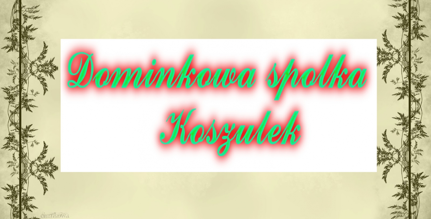 DominkoweKoszulki