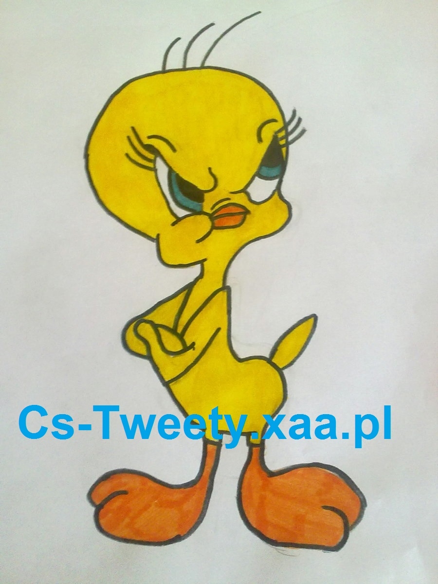 Cs-Tweety